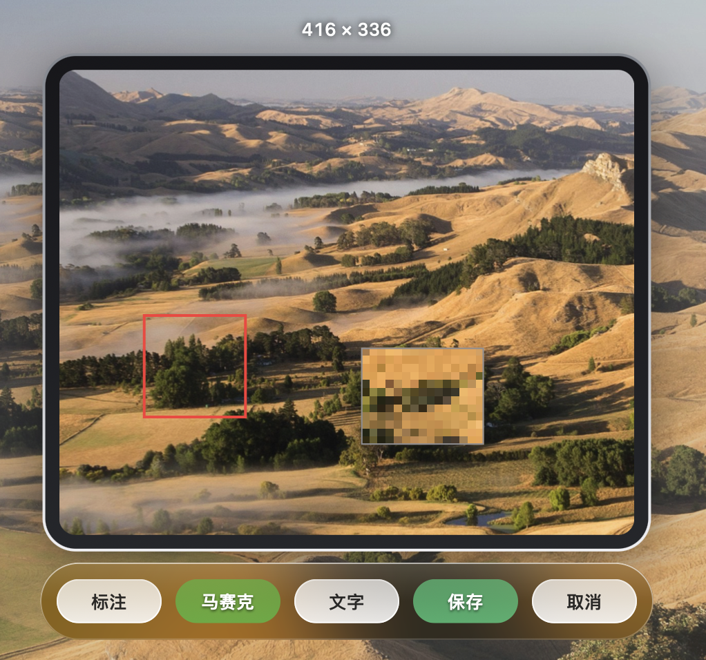 淡泊截图 - 马赛克处理